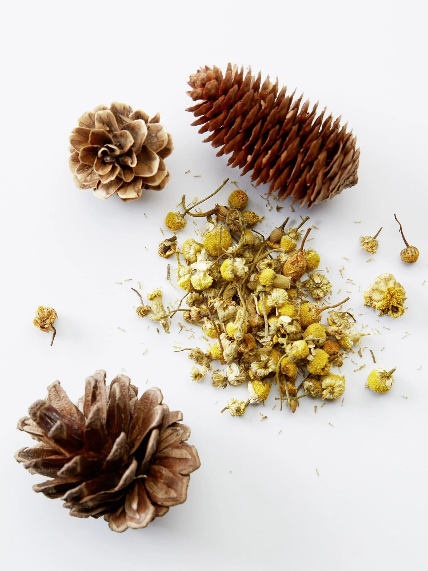3-IN-1 CHAMOMILE + PINE - Image 7